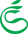 Official Website for the Town of Strasbourg