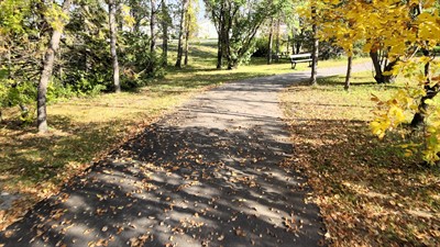 Walking Trails